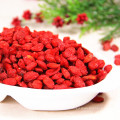 Baies de goji bien conservées baies de goji sucrées bon goût